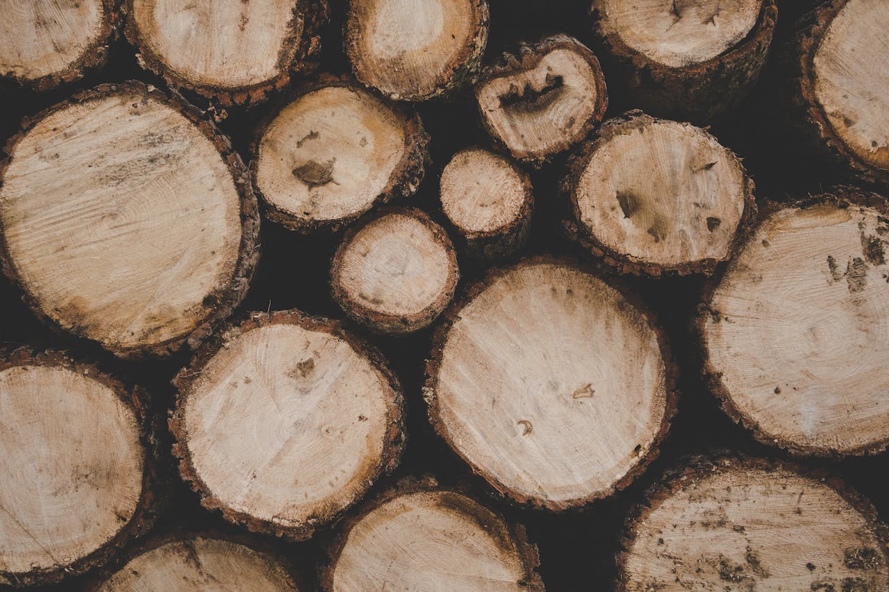 De Verwarmende Wereld van Houtpellets en Pelletkorrels